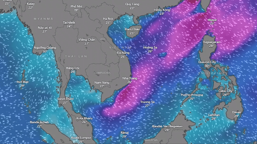 Độ cao của sóng biển hiện nay. Nguồn: Windy Độ cao của sóng biển hiện nay. Nguồn: Windy