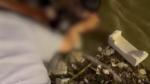 Đà Nẵng: Người dân hợp sức cứu bé trai trôi trên sông Hàn