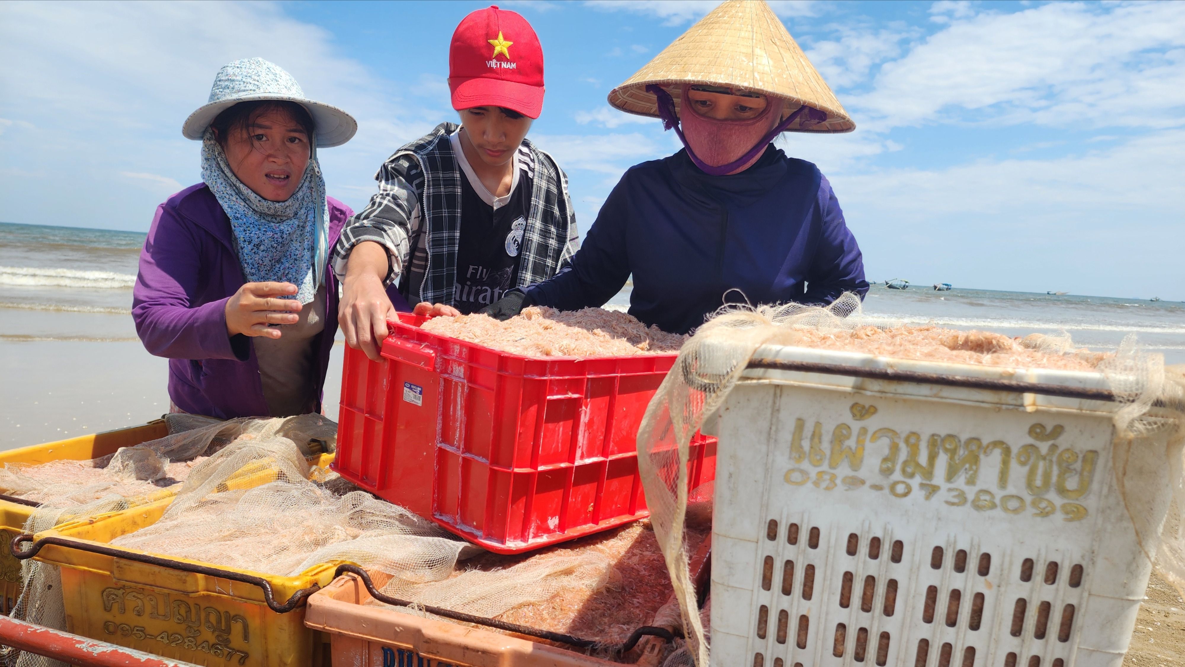 Ruốc biển chất đầy các khay nhựa, đưa vào bờ 