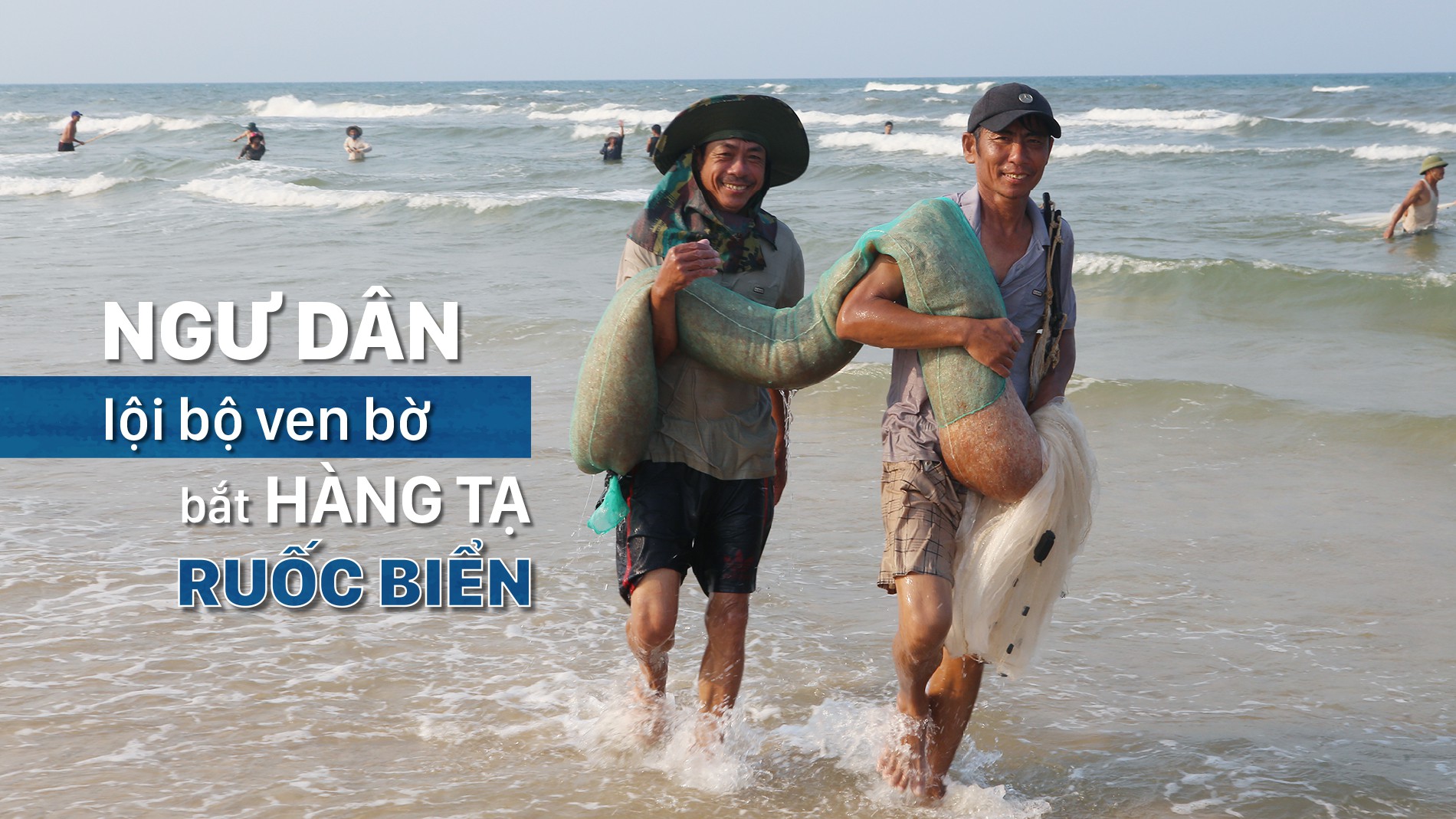 Ngư dân lội bộ ven bờ bắt hàng tạ ruốc biển