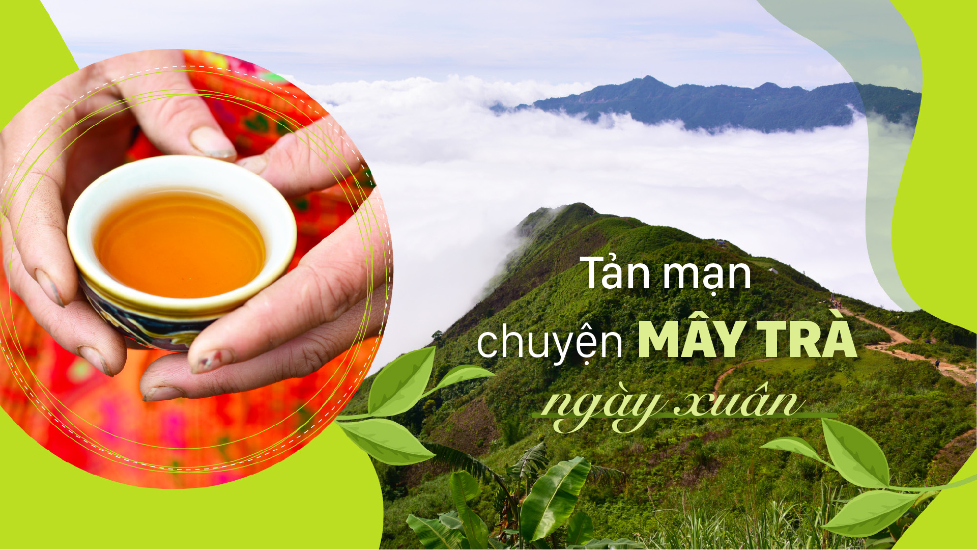 Tản mạn chuyện mây trà ngày xuân