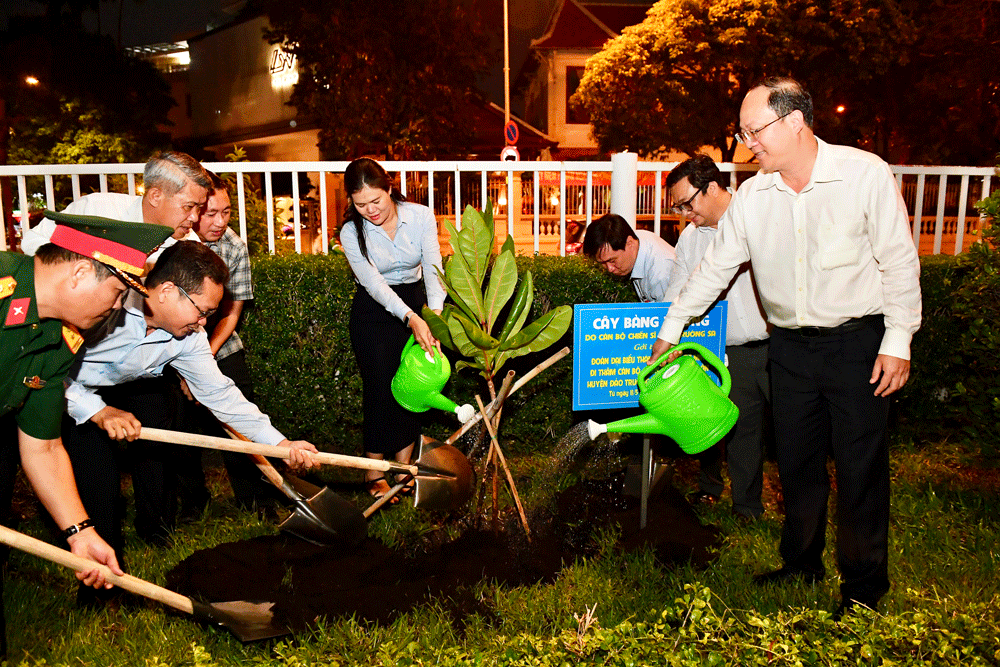 TPHCM trồng cây bàng vuông do cán bộ, chiến sĩ đảo Trường Sa gửi tặng