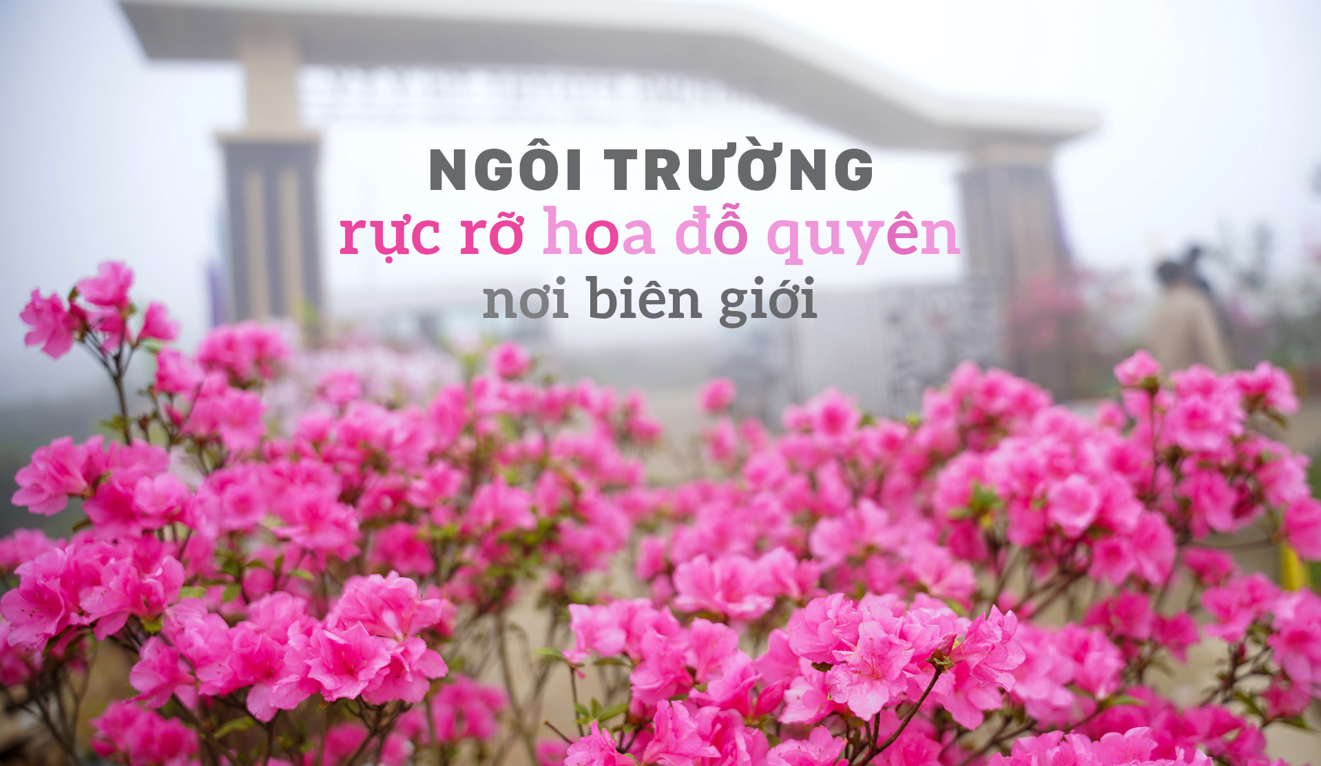 Ngôi trường rực rỡ hoa đỗ quyên nơi biên giới