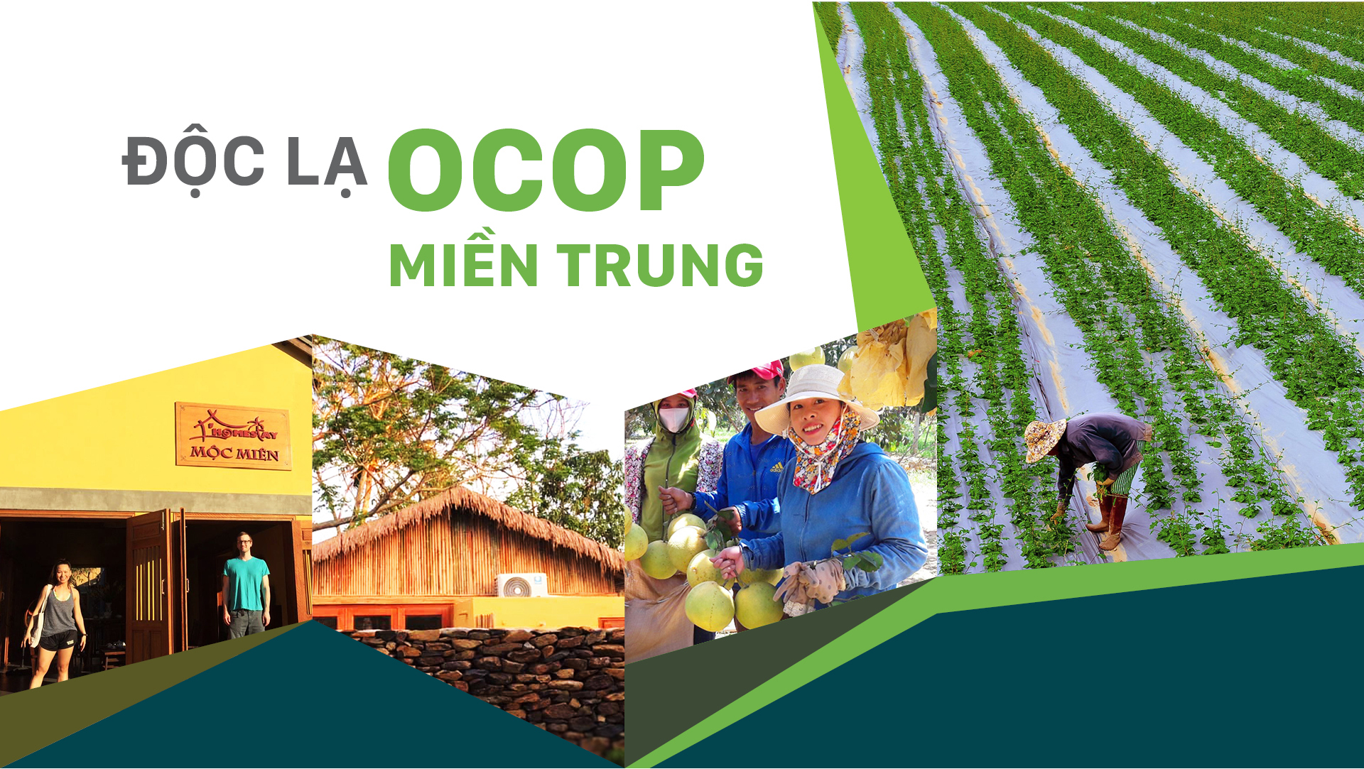 Độc lạ OCOP miền Trung