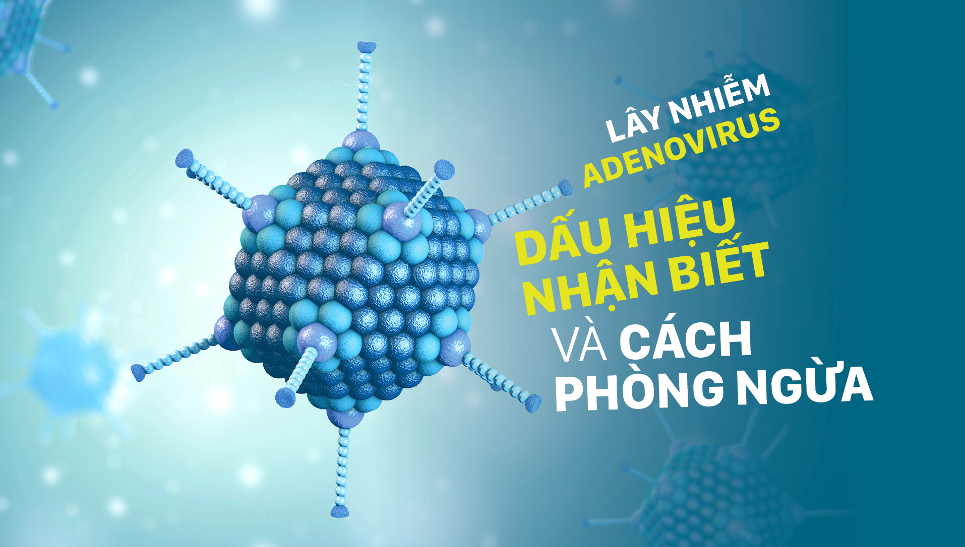 Lây nhiễm Adenovirus - Dấu hiệu nhận biết và cách phòng ngừa