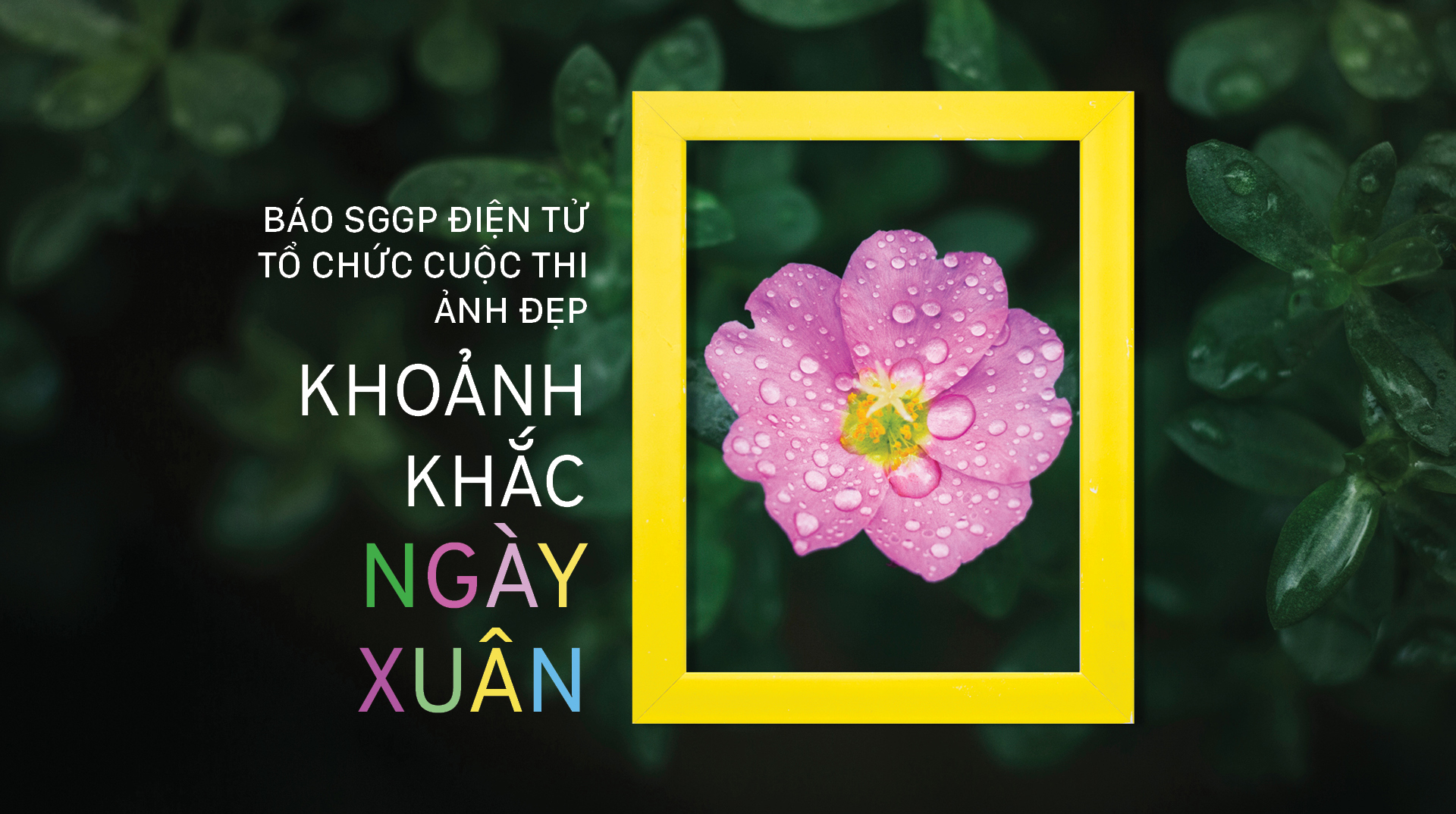 Khoảnh khắc ngày Xuân