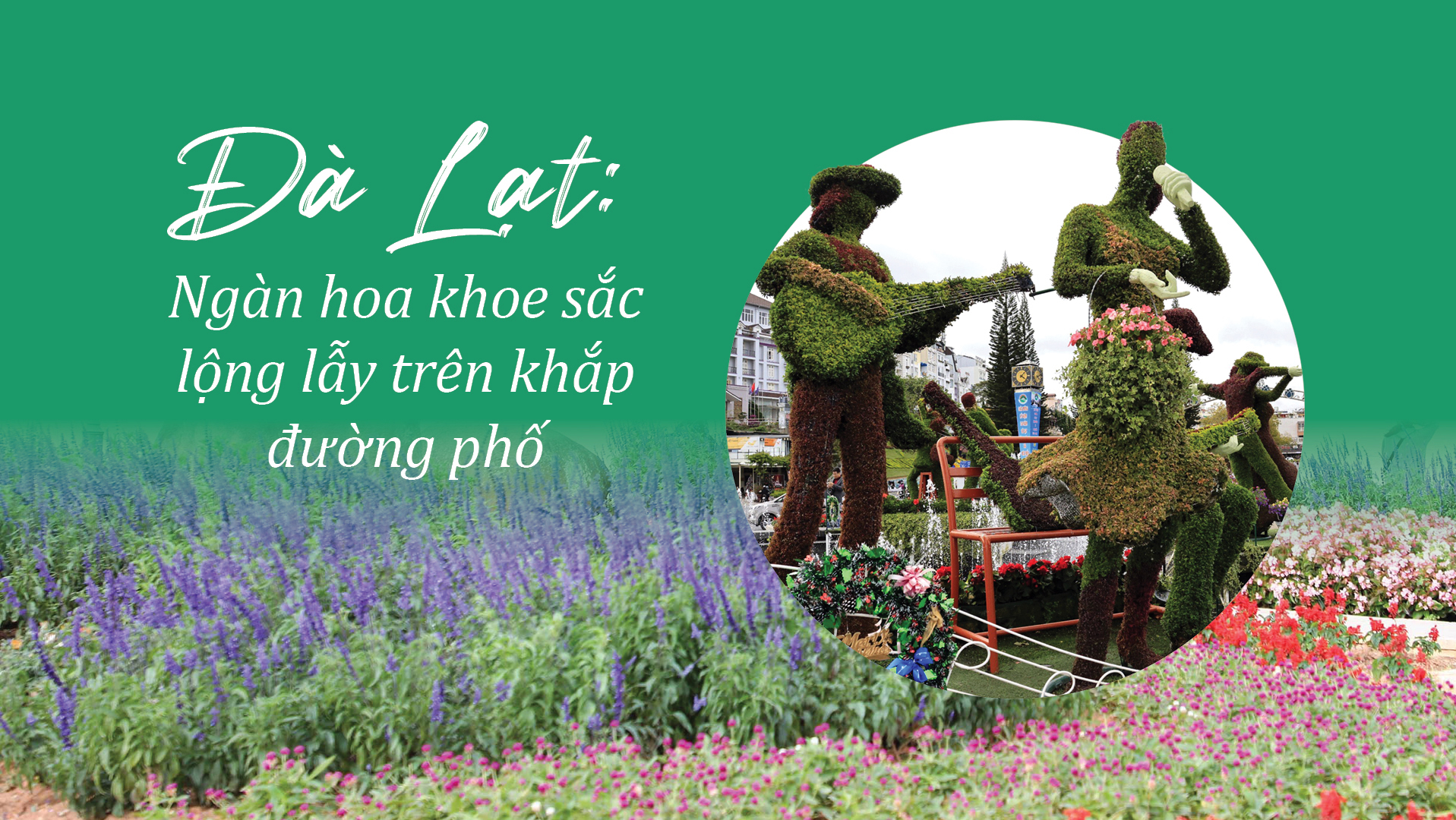 Đà Lạt: Ngàn hoa khoe sắc lộng lẫy trên khắp đường phố