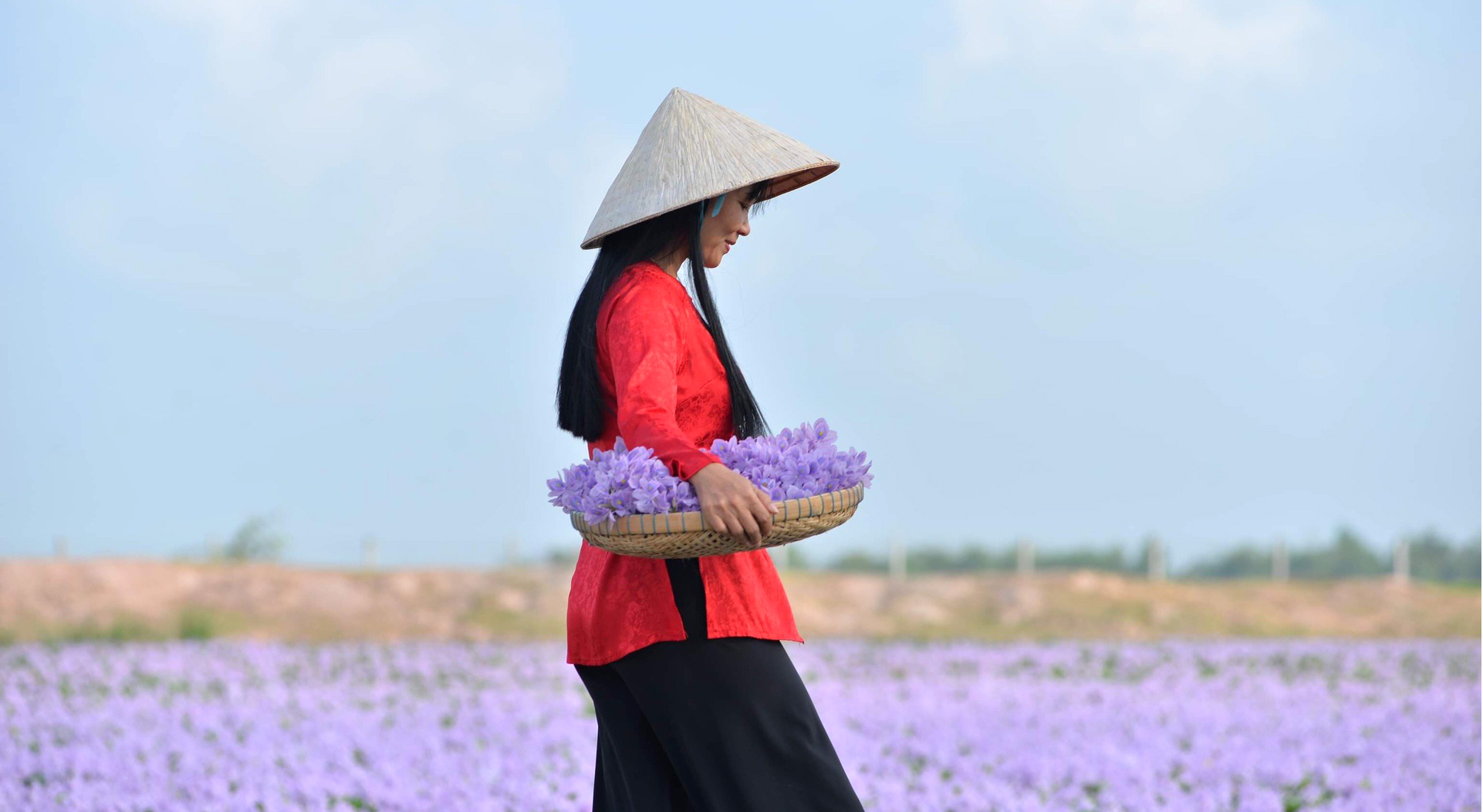 Về miền Tây ngắm bông lục bình