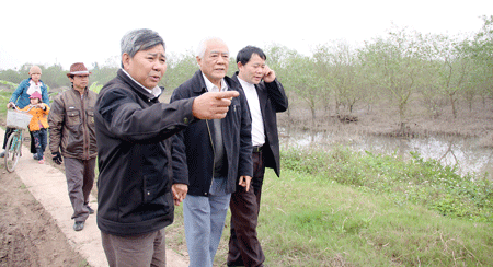 Representatives of the Vietnam Fishing Association inspect Vuon’s land on February 8 (Photo: SGGP) Representatives of the Vietnam Fishing Association inspect Vuon’s land on February 8 (Photo: SGGP)