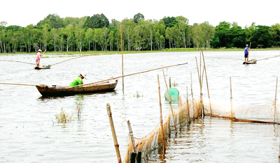 Fishermen in the Mekong Delta catch fish in the flood season and profit when water levels are very high (Photo: SGGP) Fishermen in the Mekong Delta catch fish in the flood season and profit when water levels are very high (Photo: SGGP)