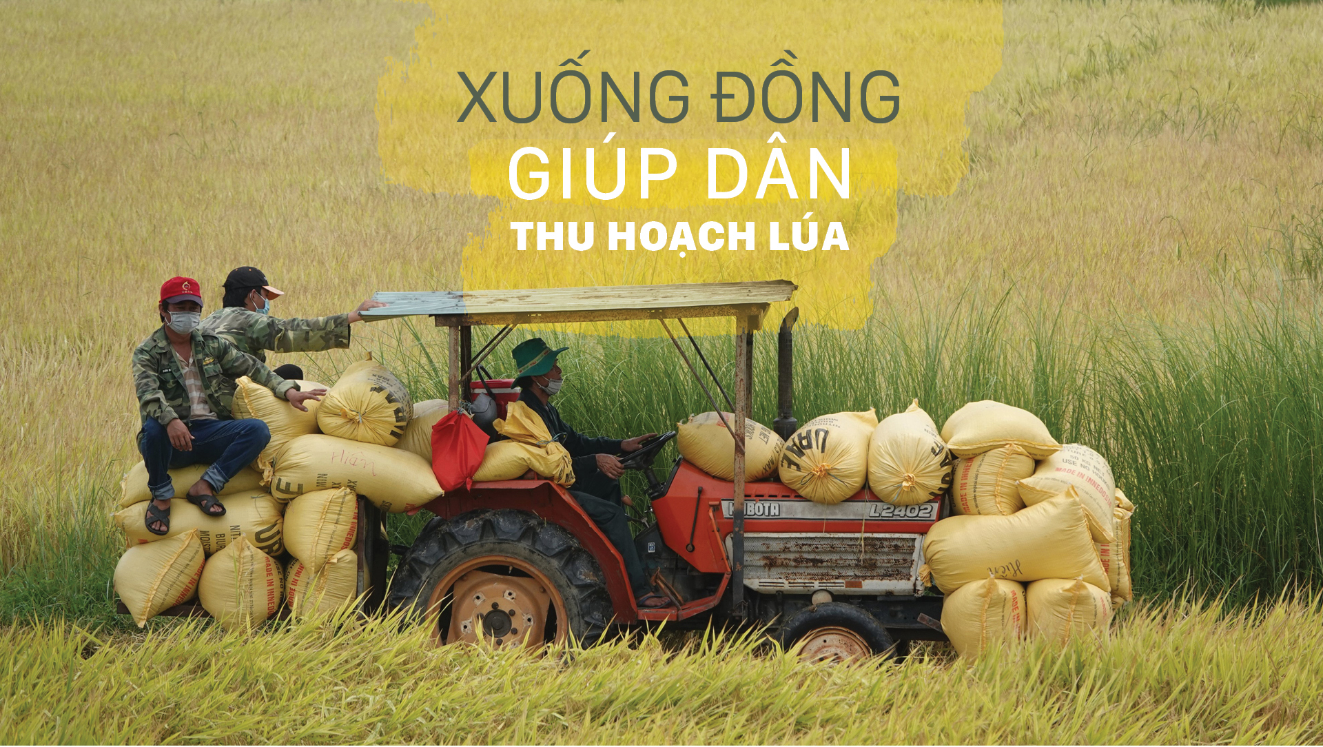 Xuống đồng giúp dân thu hoạch lúa