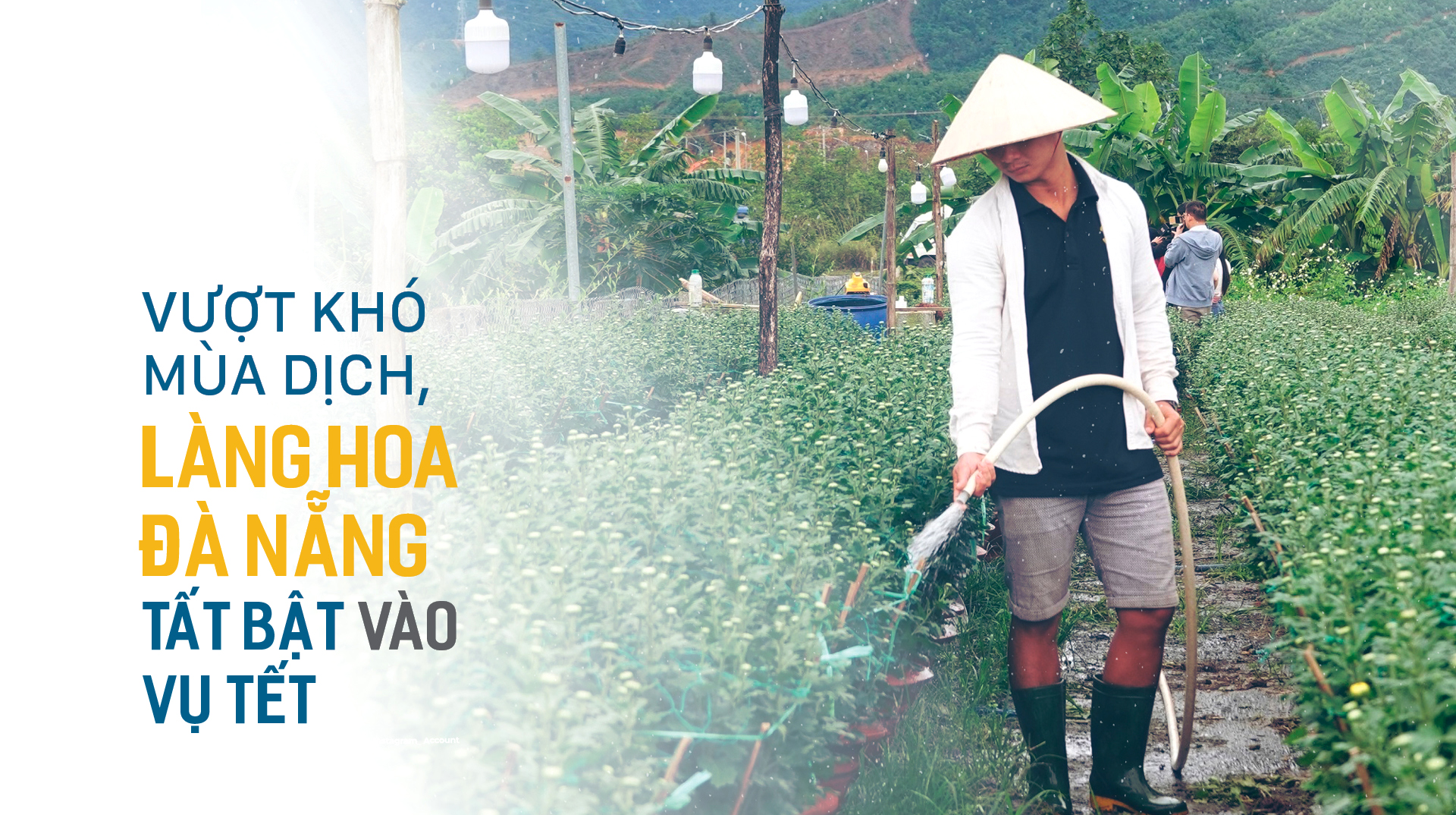 Vượt khó mùa dịch, làng hoa Đà Nẵng tất bật vào vụ tết