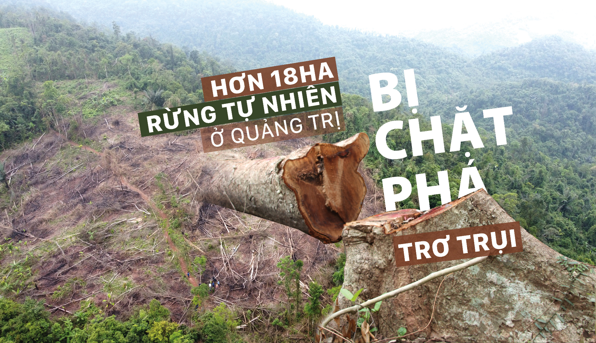 Hơn 18ha rừng tự nhiên ở Quảng Trị bị chặt phá trơ trụi