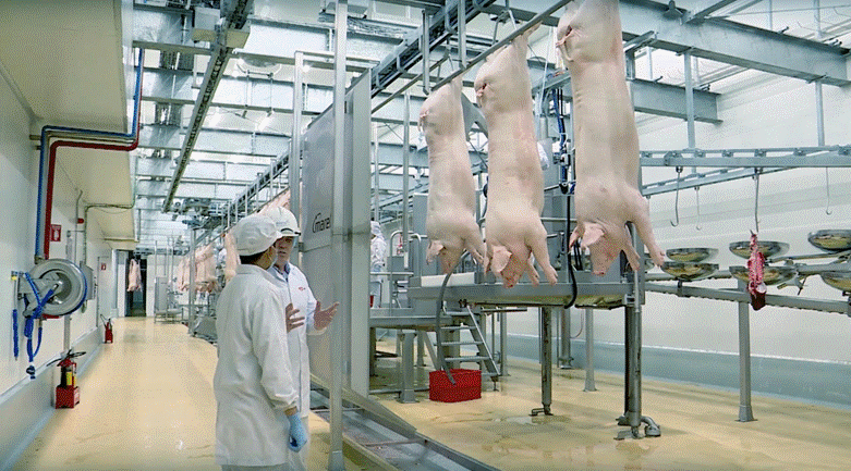 Dây chuyền sản xuất thịt ủ mát MEATDeli do Marel - công ty hàng đầu thế giới về thiết bị giết mổ, chế biến thịt của Hà Lan cung cấp 1749283317419-7904.gif