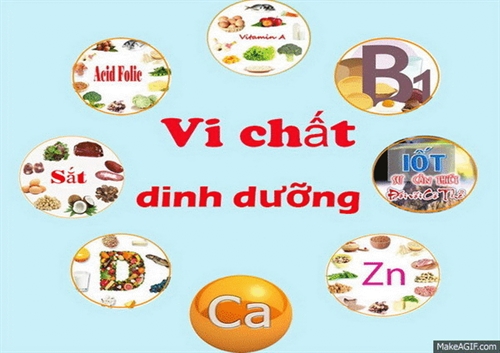 Bổ sung vi chất dinh dưỡng vào thực phẩm chế biến