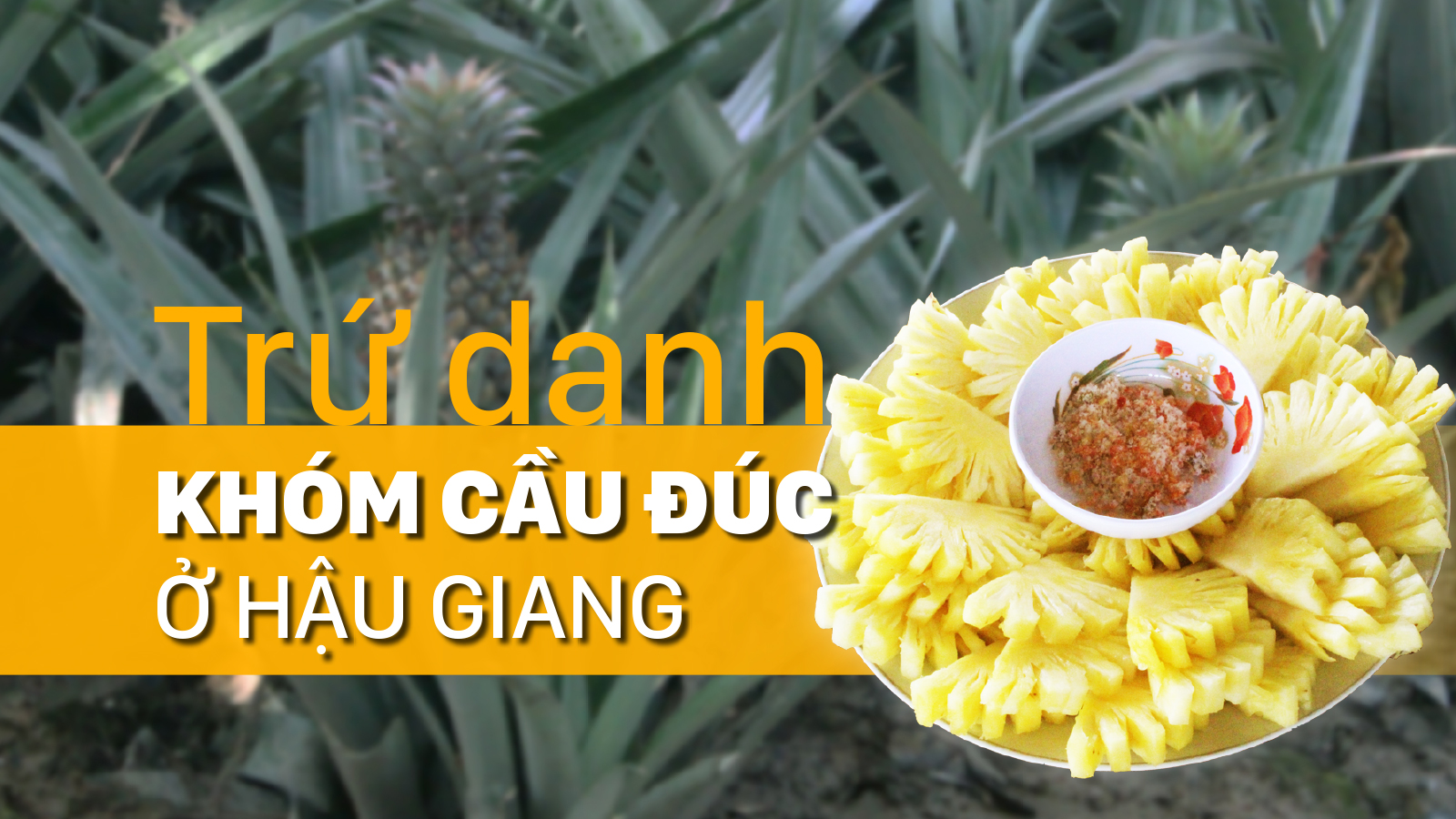 Trứ danh khóm Cầu Đúc ở Hậu Giang