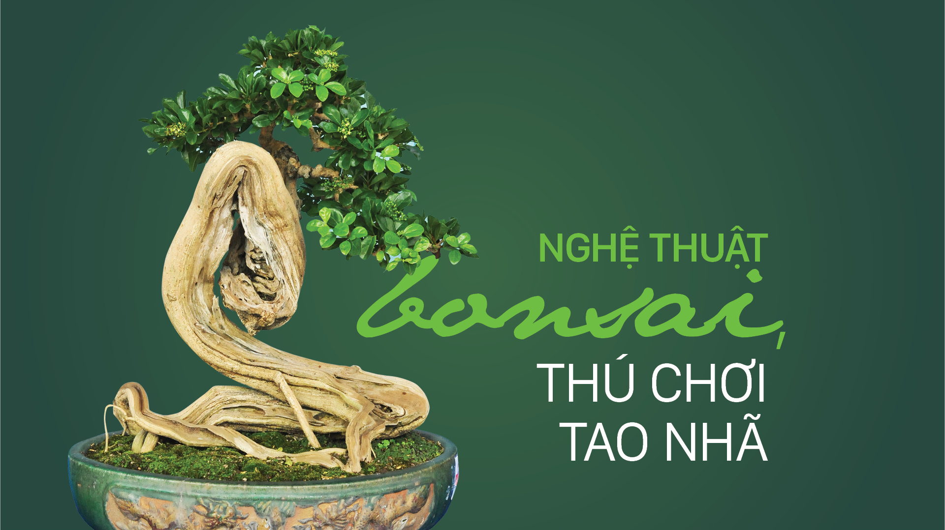 Nghệ thuật bonsai, thú chơi tao nhã