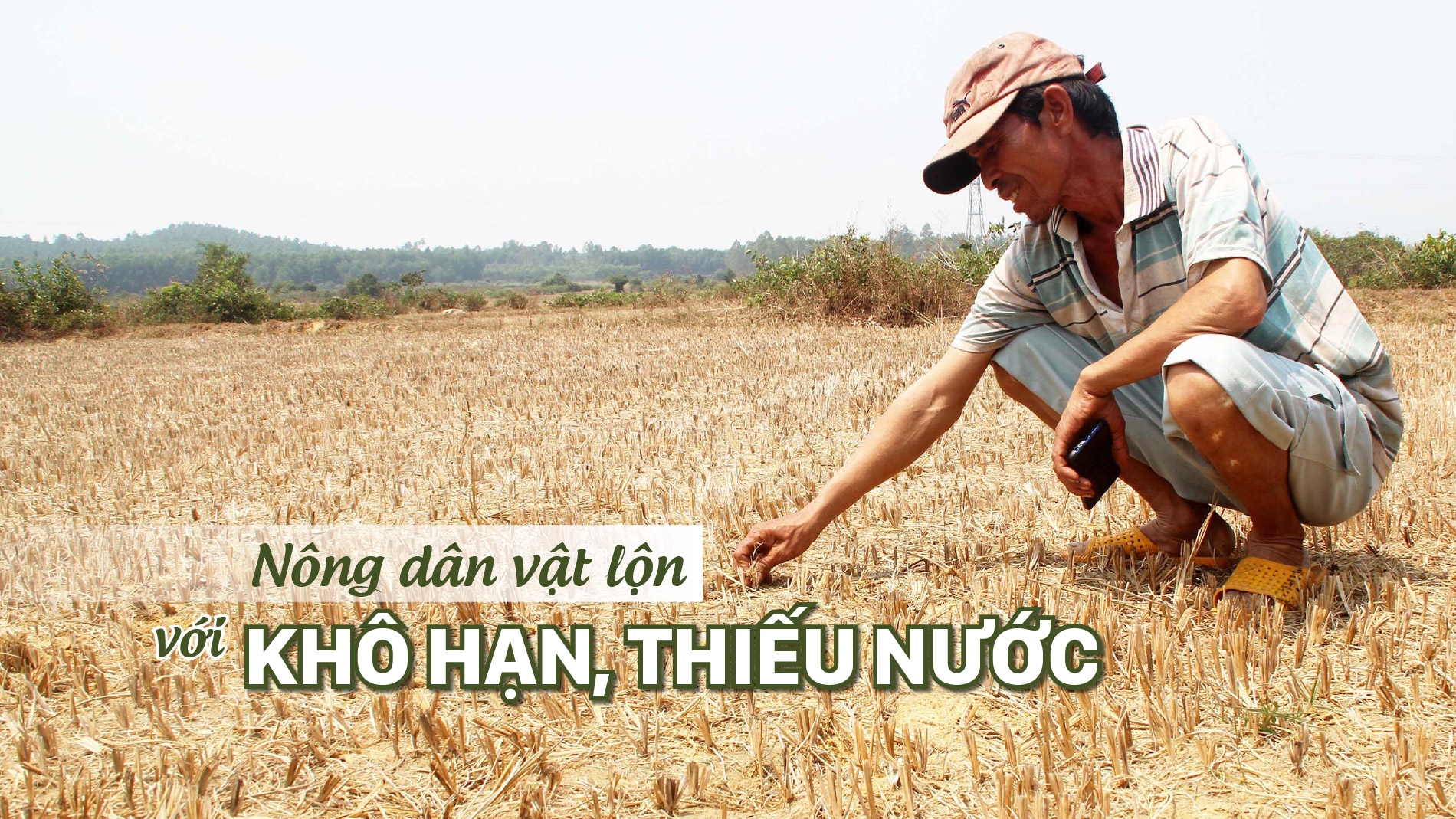 Nông dân vật lộn với khô hạn, thiếu nước