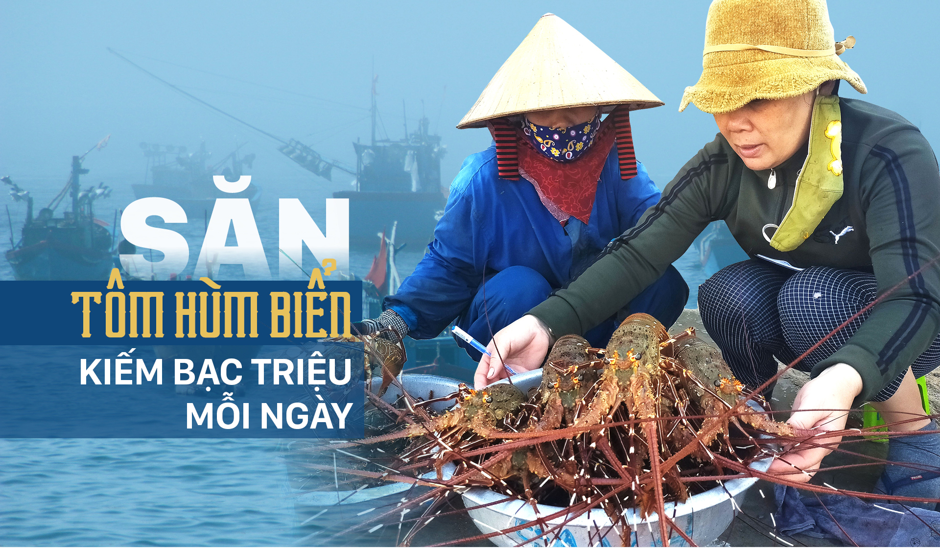 Săn tôm hùm biển kiếm bạc triệu mỗi ngày