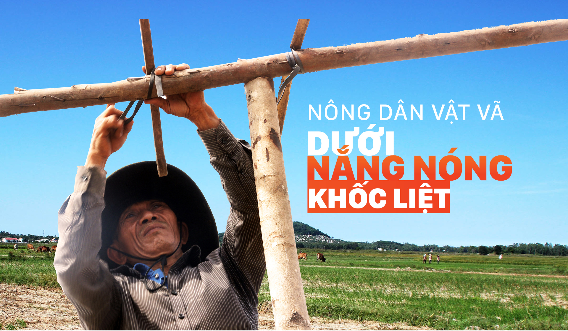 Nông dân vật vã dưới nắng nóng khốc liệt