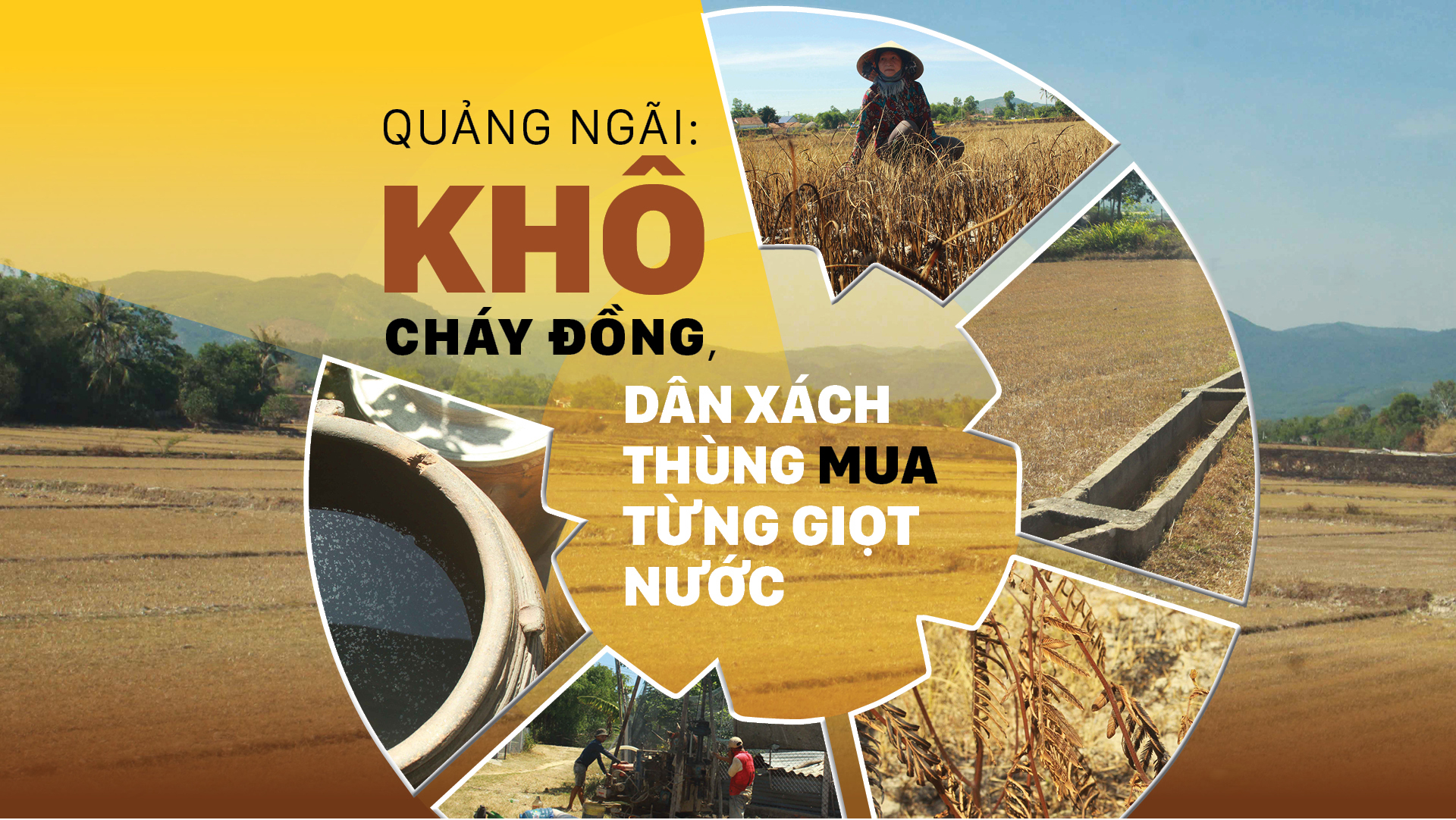 Quảng Ngãi: Khô cháy đồng, dân xách thùng mua từng giọt nước