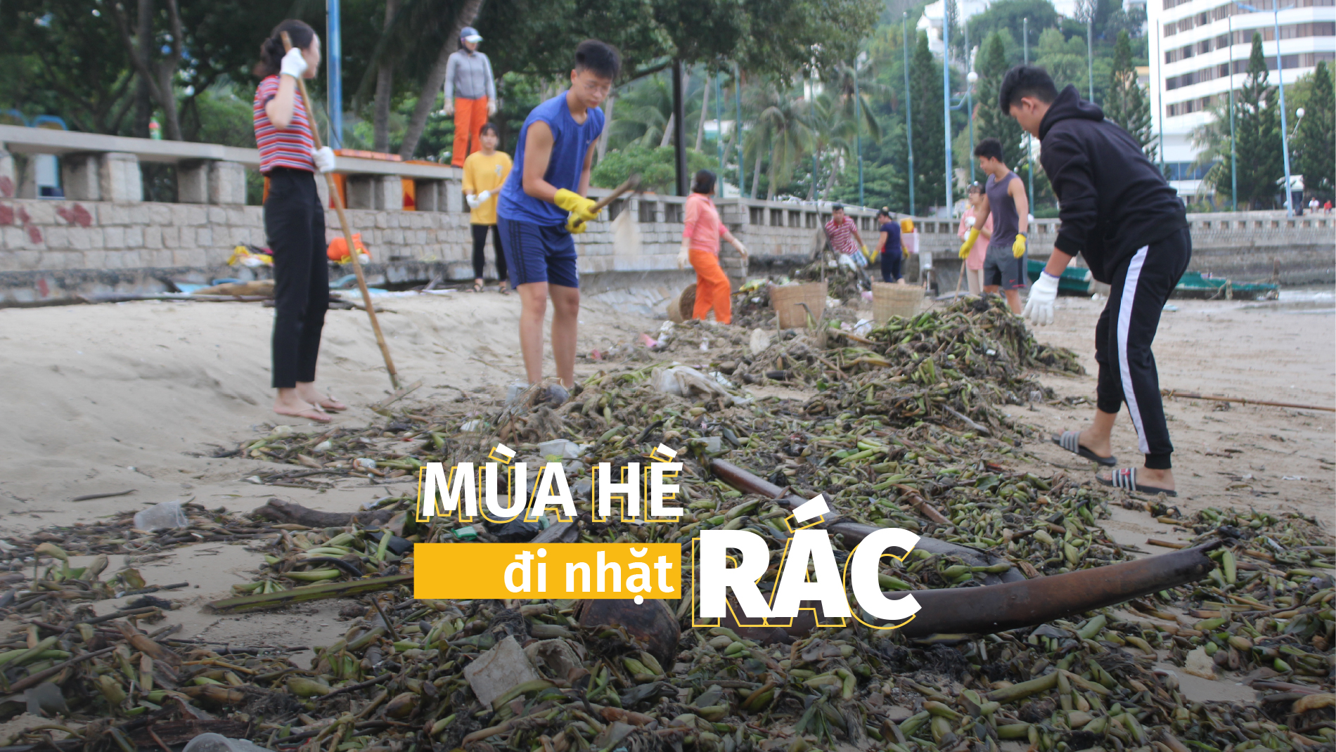 Mùa Hè đi nhặt rác