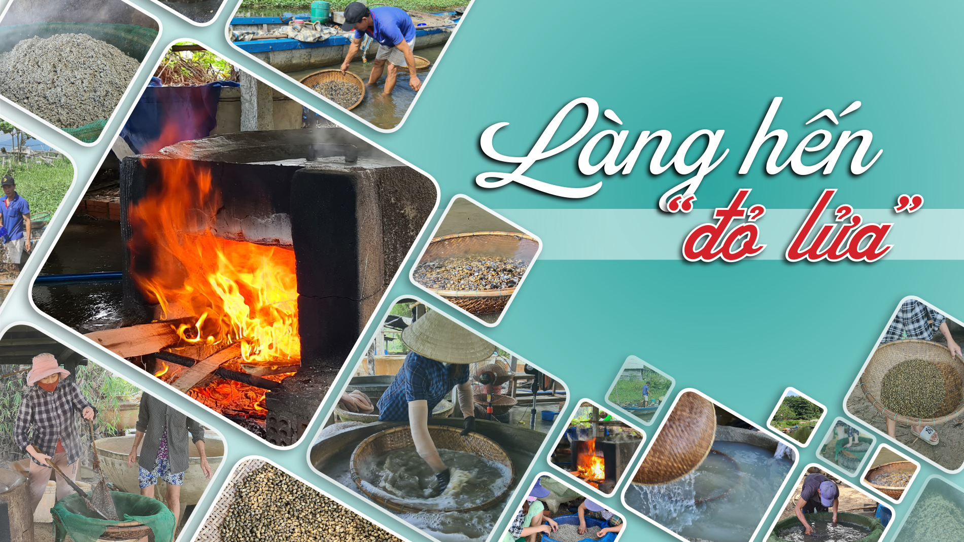 Làng hến “đỏ lửa”