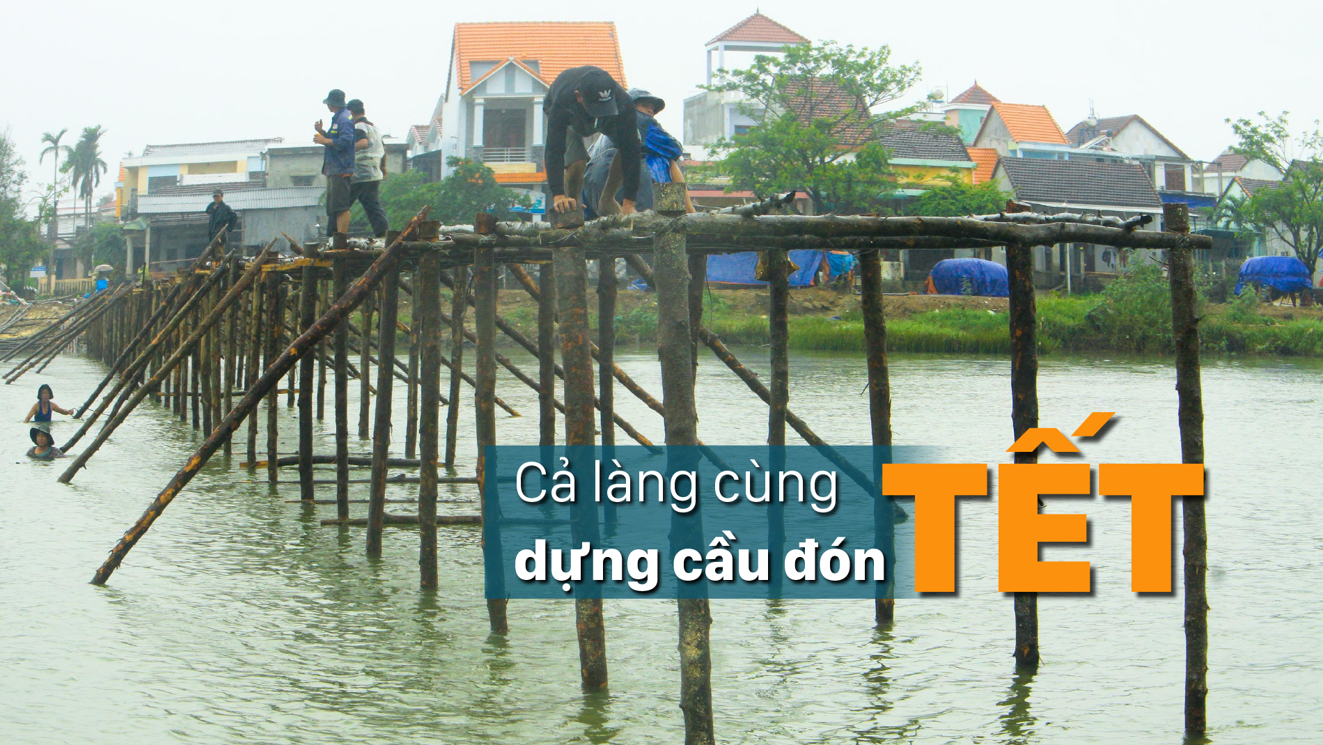 Cả làng cùng dựng cầu đón tết