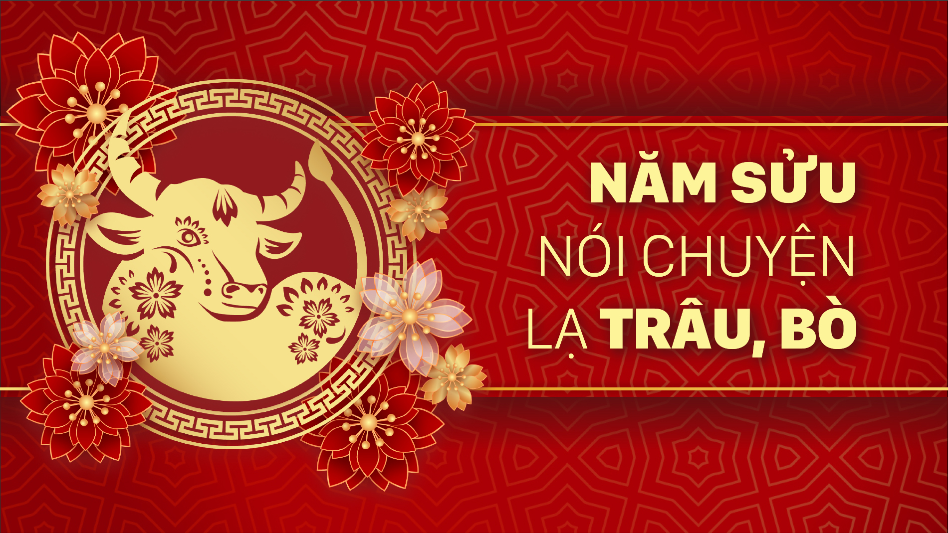 Năm Sửu nói chuyện lạ trâu, bò