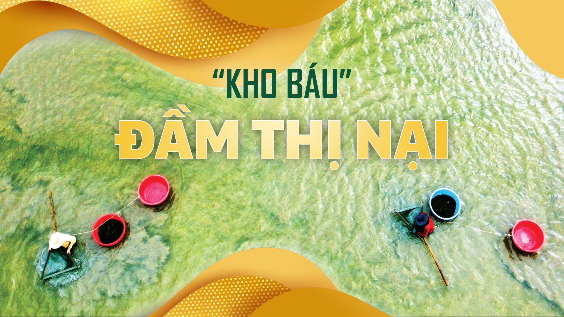 “Kho báu” Đầm Thị Nại