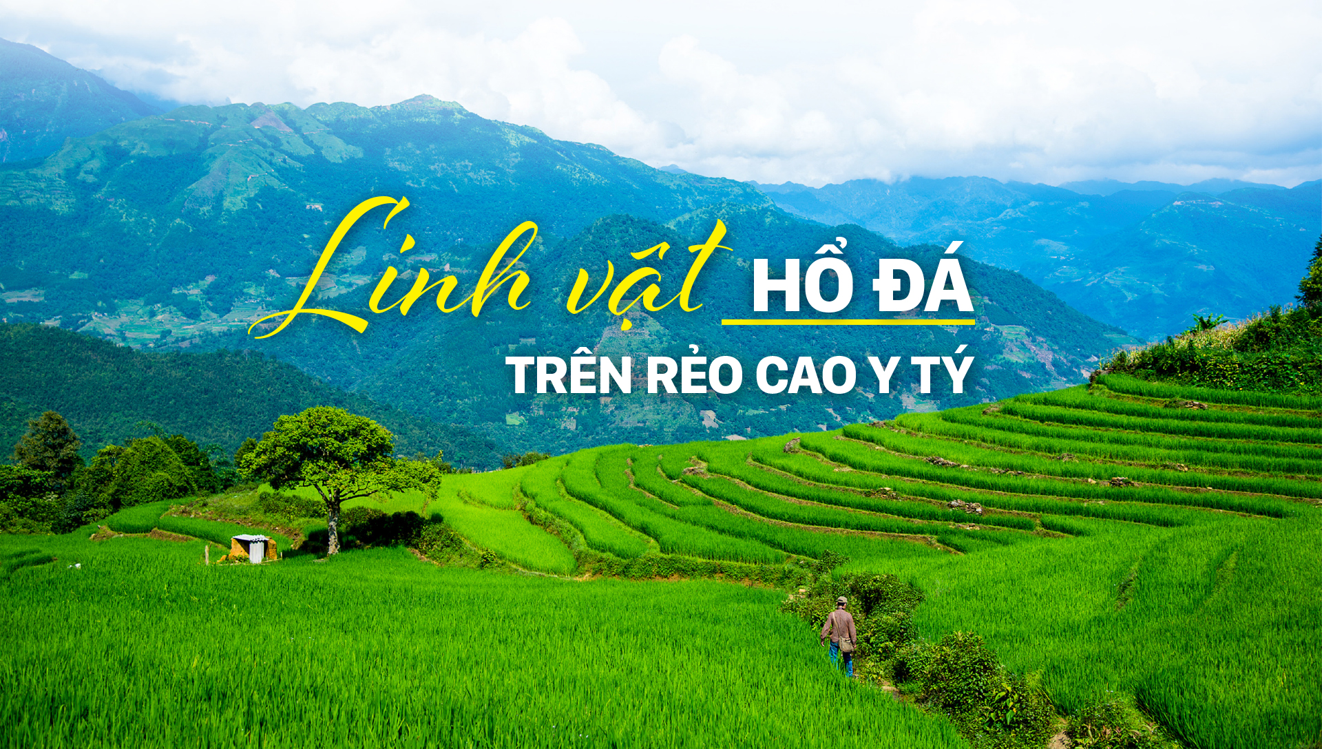 Linh vật Hổ đá trên rẻo cao Y Tý