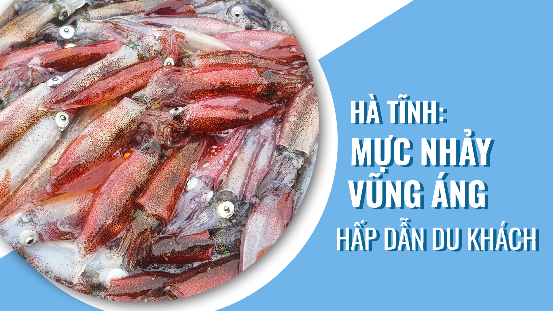 Hà Tĩnh: Mực nhảy Vũng Áng hấp dẫn du khách