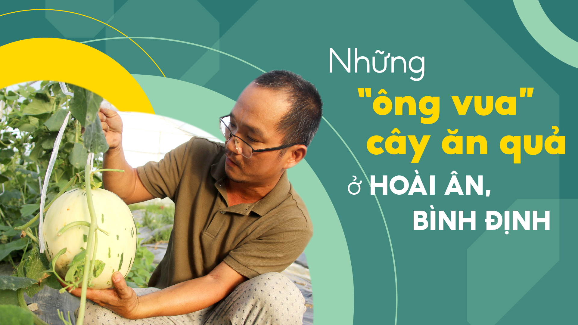 Những “ông vua” cây ăn quả ở Hoài Ân, Bình Định