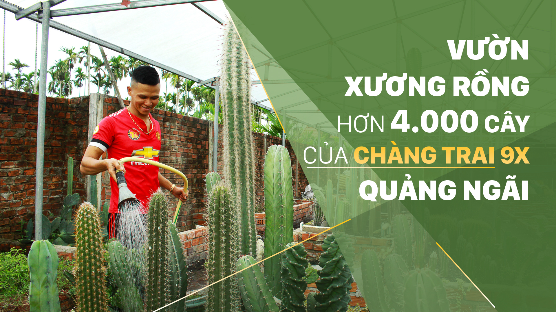 Vườn xương rồng hơn 4.000 cây của chàng trai 9X Quảng Ngãi