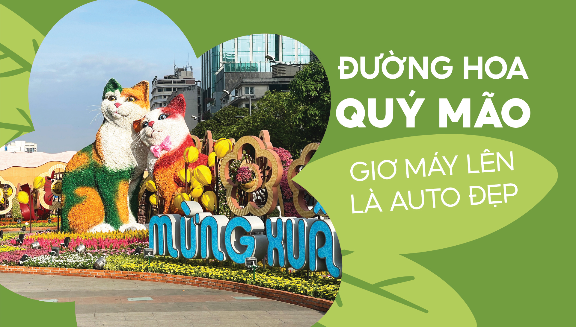 Đường hoa Quý Mão, giơ máy lên là auto đẹp 