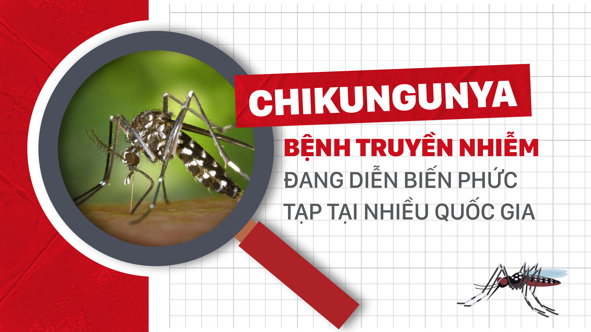 Chikungunya - Bệnh truyền nhiễm đang diễn biến phức tạp tại nhiều quốc gia
