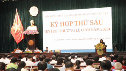 HĐND TPHCM sẽ chất vấn về ngập nước, kẹt xe và an toàn thực phẩm