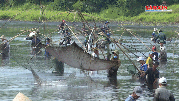 Lễ hội phá trằm Trà Lộc thu hút đông đảo người dân địa phương, du khách cùng tham gia bắt cá