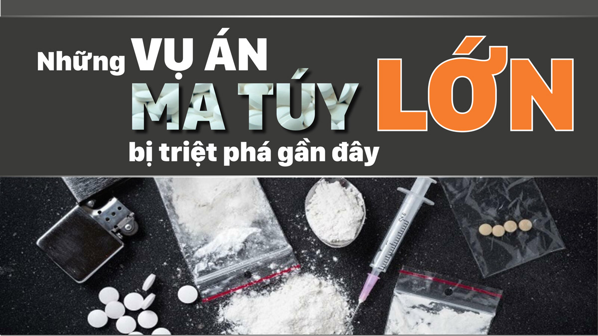 Những vụ án ma túy lớn bị triệt phá gần đây