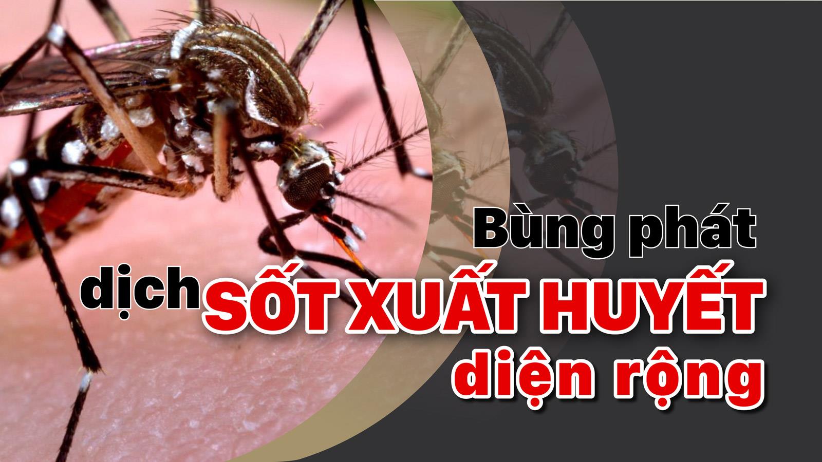 Bùng phát dịch sốt xuất huyết diện rộng