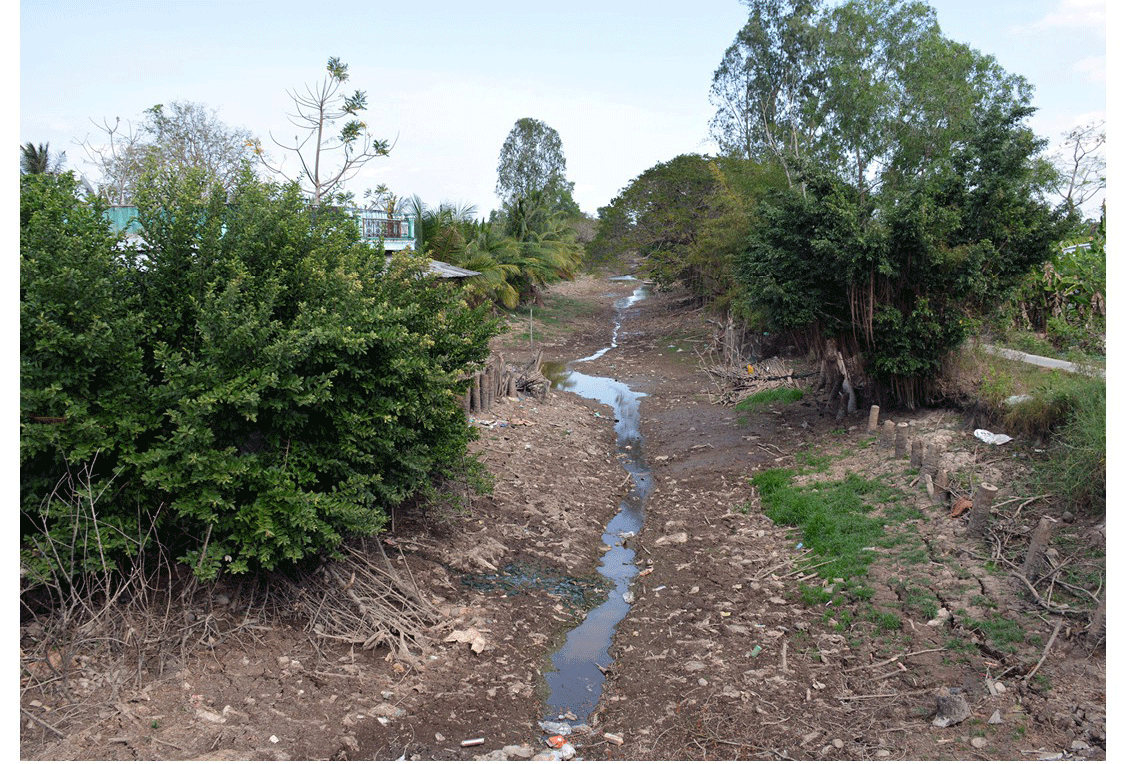 Mekong Delta grapples with drought, saltwater intrusion ảnh 15 Mekong Delta grapples with drought, saltwater intrusion ảnh 15