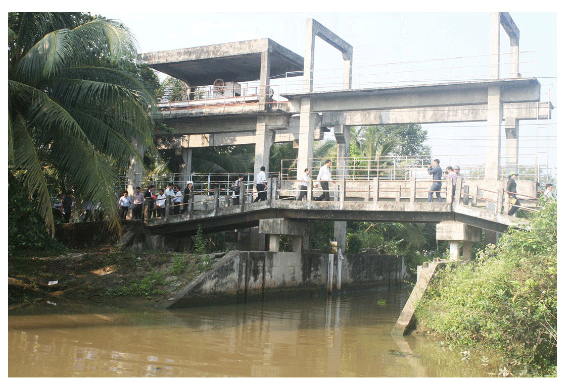 Mekong Delta grapples with drought, saltwater intrusion ảnh 16 Mekong Delta grapples with drought, saltwater intrusion ảnh 16