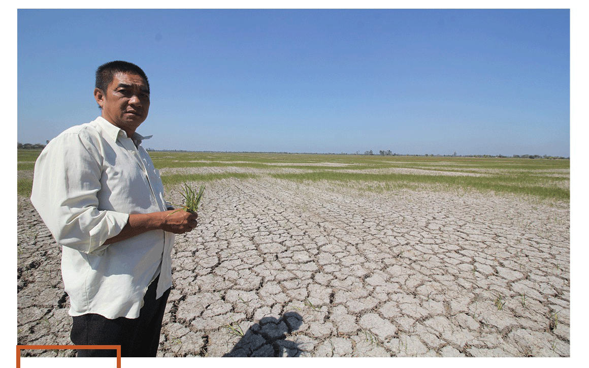 Mekong Delta grapples with drought, saltwater intrusion ảnh 1 Mekong Delta grapples with drought, saltwater intrusion ảnh 1