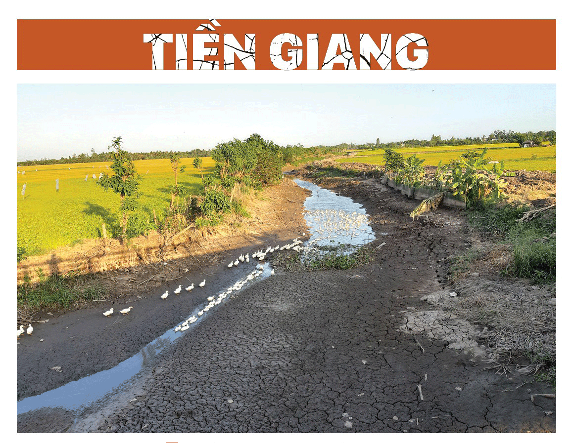Mekong Delta grapples with drought, saltwater intrusion ảnh 9 Mekong Delta grapples with drought, saltwater intrusion ảnh 9