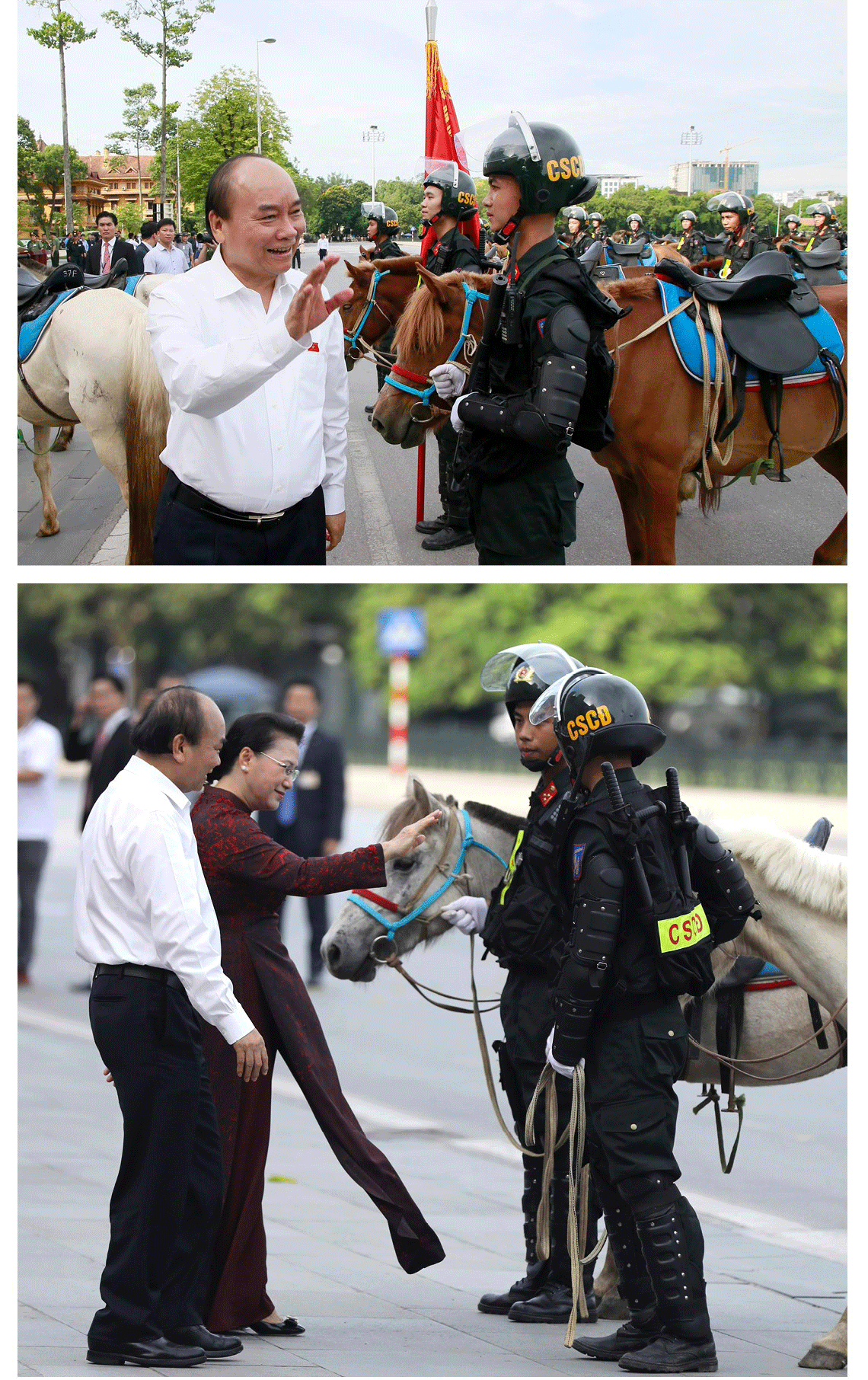 Cavalry Mobile Police Corps introduced for the first time to the public ảnh 3 Cavalry Mobile Police Corps introduced for the first time to the public ảnh 3