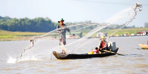 Làng bè như một thành phố nổi trên sông. Làng bè mùa nước lớn. Cá điêu hồng cùng với cá lăng, cá lóc được chủ bè La Ngà chọn nuôi nhiều nhất. Ngoài các bè nuôi cá, sông La Ngà còn là nơi sinh sống của nhiều người làm nghề chài lưới, buông chà đợi cá trên sông. Ngày cân cá cho thương lái thật nhộn nhịp. Thành quả của cả mùa cá trông vào ngày này. Bè cá quây bằng lưới sâu chừng 3-5m, rộng hẹp tùy sức nuôi của chủ. Cá được chuyển lên xe tải đưa đến các chợ đầu mối. Niềm vui của hộ dân khi gắn anten parabol xem tivi. Bữa cơm của một hộ trên bè cá. Âu lo lớn nhất của chủ bè cá là tương lai của những đứa trẻ được sinh trên bè này.