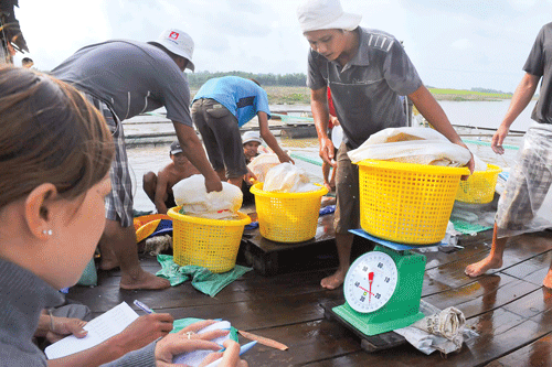 Làng bè như một thành phố nổi trên sông. Làng bè mùa nước lớn. Cá điêu hồng cùng với cá lăng, cá lóc được chủ bè La Ngà chọn nuôi nhiều nhất. Ngoài các bè nuôi cá, sông La Ngà còn là nơi sinh sống của nhiều người làm nghề chài lưới, buông chà đợi cá trên sông. Ngày cân cá cho thương lái thật nhộn nhịp. Thành quả của cả mùa cá trông vào ngày này. Bè cá quây bằng lưới sâu chừng 3-5m, rộng hẹp tùy sức nuôi của chủ. Cá được chuyển lên xe tải đưa đến các chợ đầu mối. Niềm vui của hộ dân khi gắn anten parabol xem tivi. Bữa cơm của một hộ trên bè cá. Âu lo lớn nhất của chủ bè cá là tương lai của những đứa trẻ được sinh trên bè này.