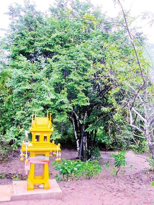 Bàn thờ Bác Hồ tại nhà dân đón du khách, Việt kiều đến bái vọng. Đoàn nhà báo Việt Nam và Thái Lan cùng bà con Việt kiều tại Nhà lưu niệm Chủ tịch Hồ Chí Minh ở tỉnh Udon. Nhà ở, nơi Bác Hồ hoạt động tại Nakhon Phanom. Du khách tìm hiểu nơi sinh sống, làm việc của Bác Hồ tại bản Na Chooc. Hiện vật trưng bày tại Nhà lưu niệm Chủ tịch Hồ Chí Minh. Phục dựng khu nhà ở của Việt kiều, nơi hoạt động của Bác Hồ tại Thái Lan. Cây khế tương truyền do Bác Hồ trồng tại Bản Mạy.