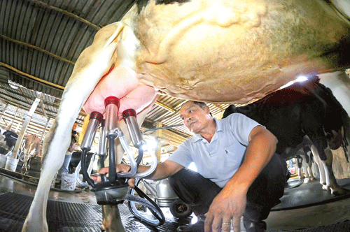 Hàng ngày, Đền Bến Dược đón tiếp các tầng lớp Nhân dân đến thăm quan, tri ân các liệt sĩ. Vườn lan Huyền Thoại xã An Nhơn Tây. Hạ tầng giao thông khang trang của thị trấn Củ Chi. Kênh thủy lợi Cầu Máng. Máy chụp MR tại bệnh viện Đa khoa Củ Chi. Trại bò sữa của chú Sáu Lê xã Phú Hòa Đông. Lớp học vi tính tại Trường PTCS An Phú 1. Dây chuyền sản xuất hiện đại Nhà máy Unilever trong KCN Tây Bắc Củ Chi. Sản xuất bánh tráng xuất khẩu tại Doanh nghiệp Duy Anh.