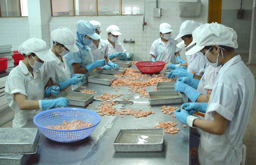 Thắng lợi của ngành thủy sản chủ yếu nhờ vào tôm.